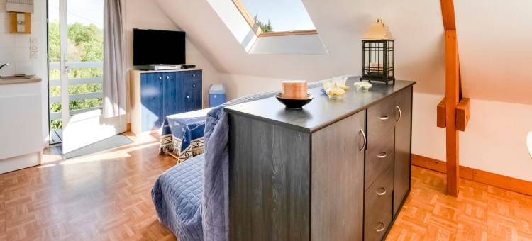 Apartment in Saint-Rémy near Lake图片