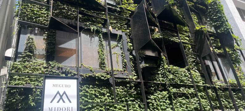 目黑绿酒店(MEGURO MIDORI HOTEL)图片