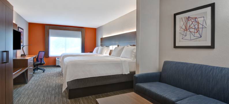 智选假日套房酒店-安德森85号州际公路/76号高速公路19B出口(Holiday Inn Express & Suites ANDERSON-I-85 (HWY 76, EX 19B) by IHG)图片