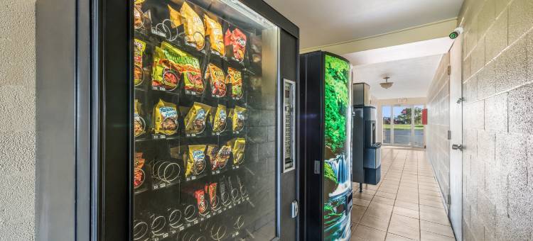 瓦帕科内塔红屋顶套房酒店(Red Roof Inn & Suites Wapakoneta)图片