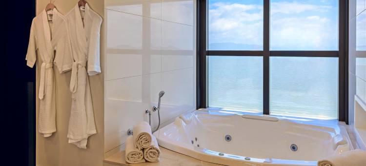 弗卢里亚诺波利斯诺富特酒店(Novotel Florianopolis)图片