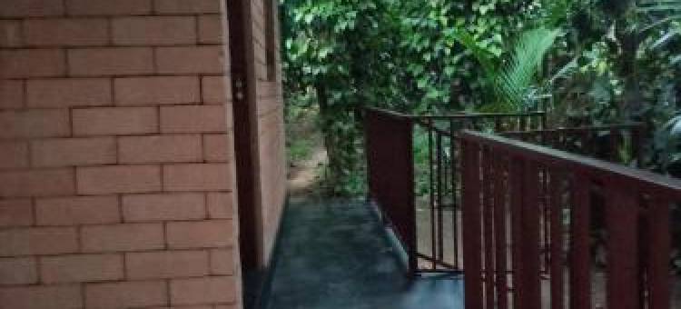 Oasis Safari Cottage图片