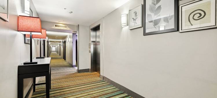 科文顿丽怡酒店(Country Inn & Suites by Radisson, Covington, LA)图片