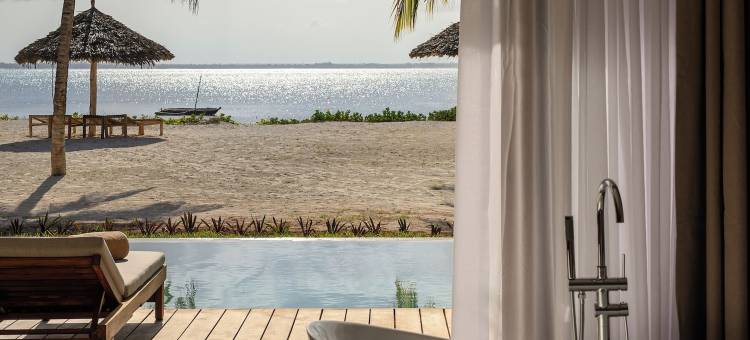 JAZ精英极光(JAZ Elite Aurora)图片