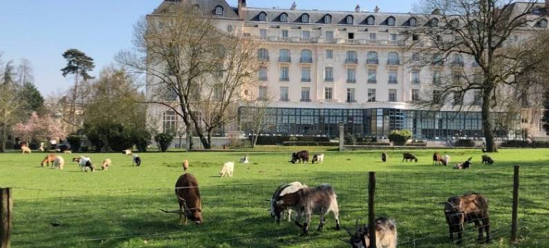 凡尔赛特里亚农宫华尔道夫酒店(Waldorf Astoria Versailles - Trianon Palace)图片