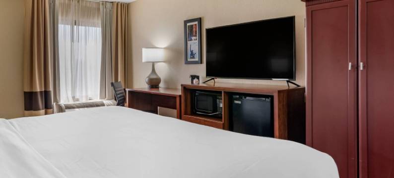 伯明翰霍姆伍德舒适酒店(Comfort Inn Birmingham Homewood)图片