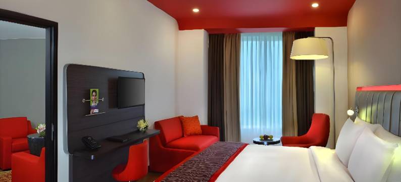 阿姆利则机场丽柏酒店(Park Inn by Radisson Amritsar Airport)图片