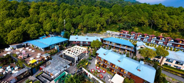 达拉姆沙拉丽笙度假酒店(Radisson Blu Resort Dharamshala)图片