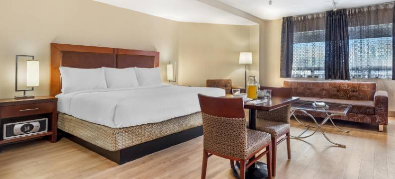 渥太华城市中心贝斯特韦斯特优质酒店(Best Western Plus Ottawa City Centre)图片