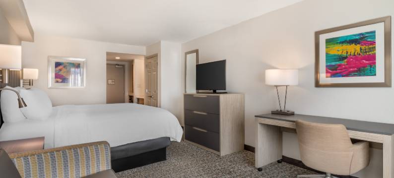 诺克斯维尔北米尔钱特大道假日酒店(Holiday Inn KNOXVILLE N - MERCHANT DRIVE by IHG)图片