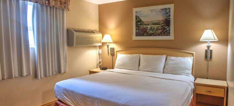 龙内斯达酒店(Lone Star Hotel)图片