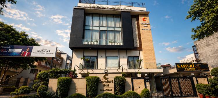 古尔冈达利瓦尔斯舒适酒店(Comfort Inn Dhaliwals Gurgaon)图片