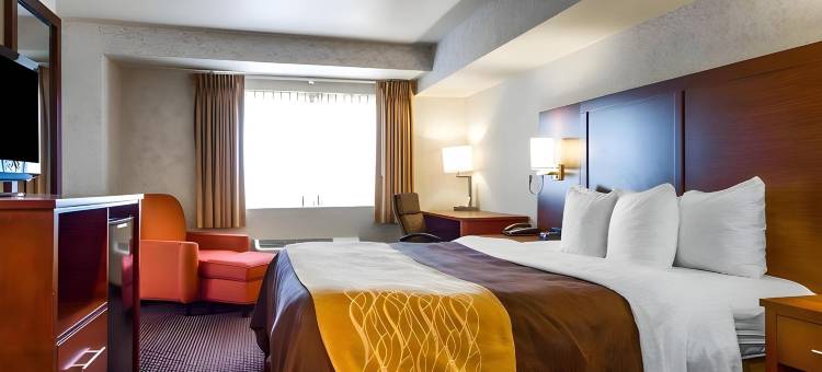 沃森维尔舒适酒店(Comfort Inn Watsonville)图片