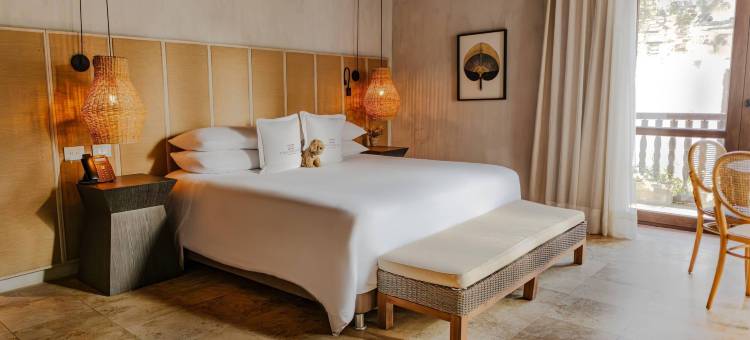卢伊斯庄园酒店，法兰达精品店，雷迪森个体会员(Hotel Casa Don Luis by Faranda Boutique, a Member of Radisson Individuals)图片
