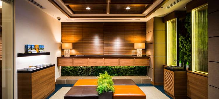 Super Hotel Premier 大阪本町站前(Super Hotel Premier Osaka Honmachi Ekimae Natural Hot Springs)图片
