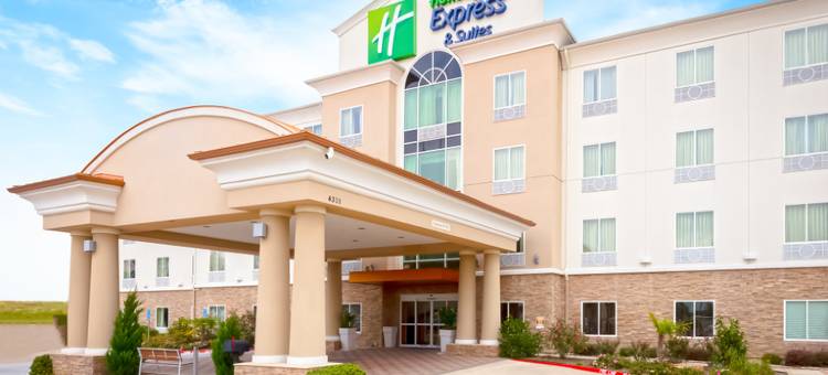 智选假日套房酒店达拉斯西(Holiday Inn Express & Suites DALLAS W - I-30 COCKRELL HILL by IHG)图片
