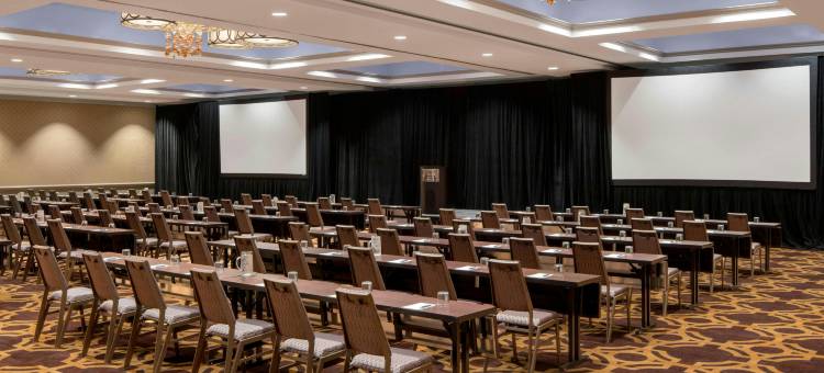新奥尔良喜来登酒店(Sheraton New Orleans Hotel)图片