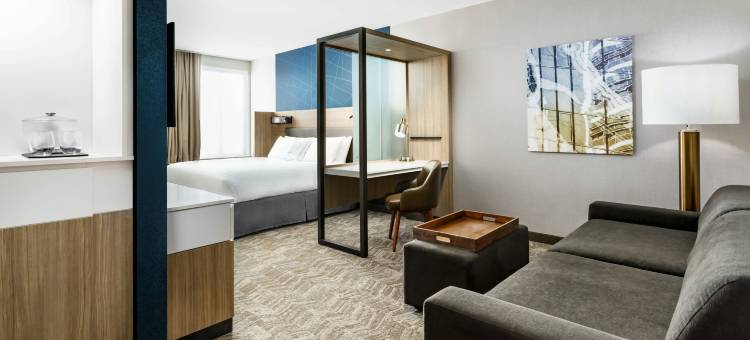 贝尔蒙特红木海岸SpringHill Suites酒店(SpringHill Suites Belmont Redwood Shores)图片