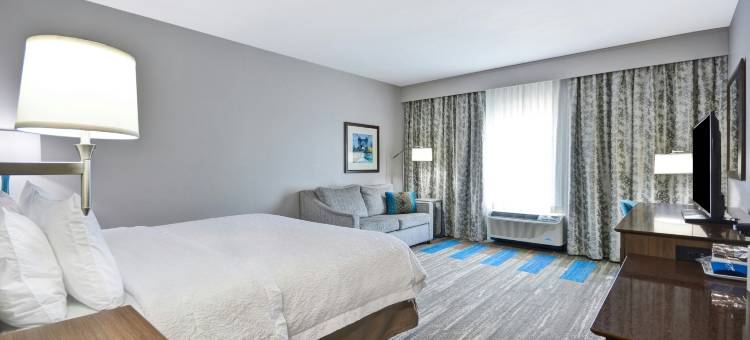 辛辛那提-布鲁艾施欢朋酒店(Hampton Inn Blue Ash Cincinnati)图片