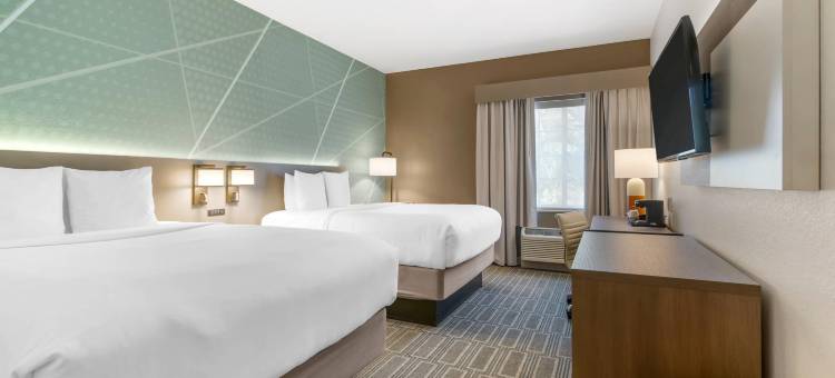 夏洛特港-蓬塔戈尔达舒适套房酒店(Comfort Inn & Suites Port Charlotte-Punta Gorda)图片