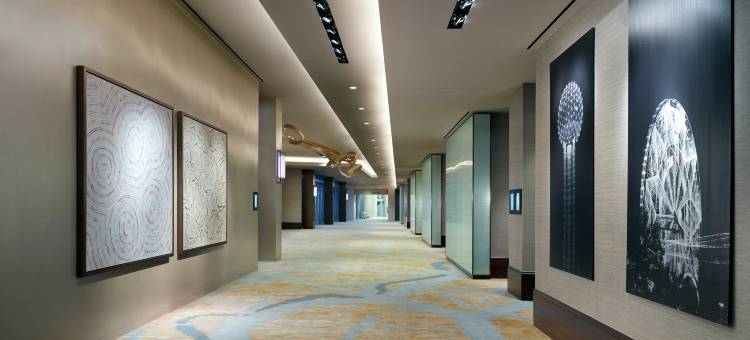 奥姆尼达拉斯酒店(Omni Dallas Hotel)图片