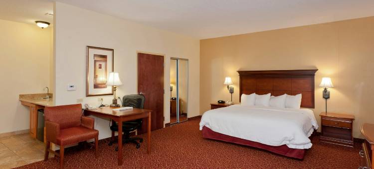 麦库姆希尔顿欢朋旅馆&套房酒店(Hampton Inn & Suites McComb)图片