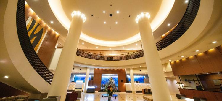 日航大分绿洲大厦酒店(Hotel Nikko Oita Oasis Tower)图片