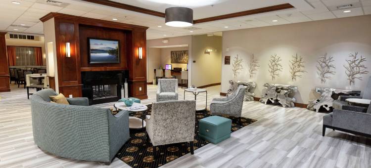 罗维莎-德卢斯Homewood Suites by Hilton酒店(Homewood Suites by Hilton Lawrenceville-Duluth)图片