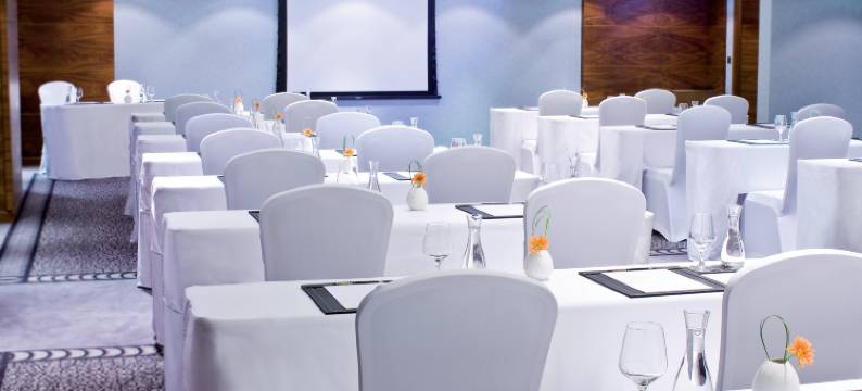 迪拜阿瓦尼迪拉酒店(Avani Deira Dubai Hotel)图片