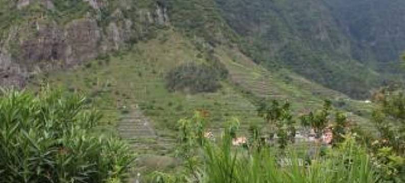 北海岸旅馆(Madeira Surf Lodge)图片