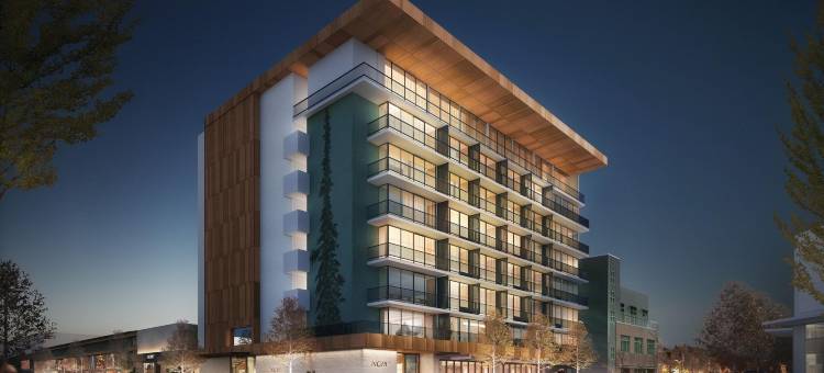 帕洛阿尔托诺布酒店(Nobu Hotel Palo Alto)图片