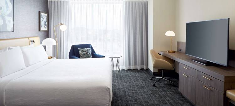 蒙特利尔市中心希尔顿花园酒店(Hilton Garden Inn Montreal Midtown)图片