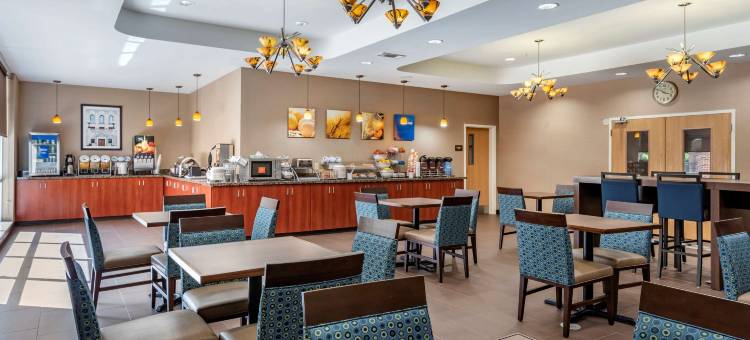 机场舒适套房酒店(Comfort Suites Airport)图片