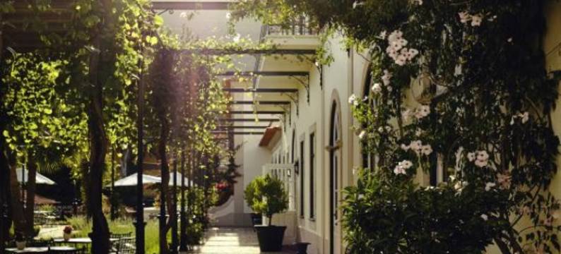 杜罗复古之家酒店(The Vintage House - Douro)图片