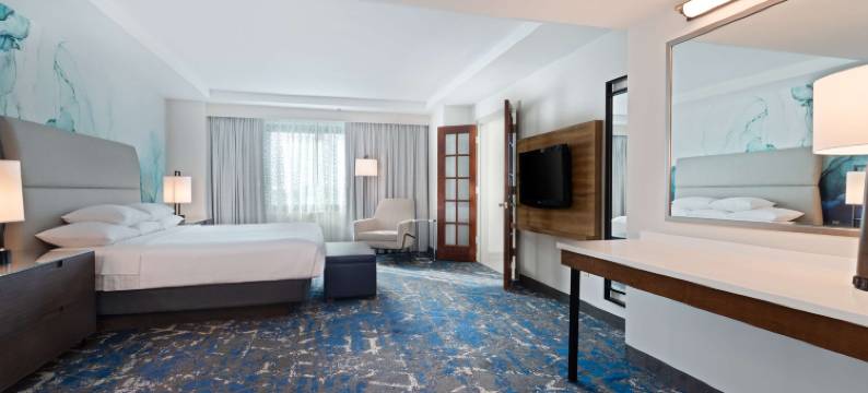 希尔顿坦帕布希花园附近美国佛罗里达大学大使套房酒店(Embassy Suites by Hilton Tampa USF Near Busch Gardens)图片