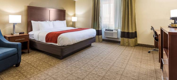 舒适酒店(Comfort Inn)图片