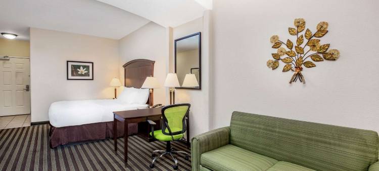 福勒拉昆塔温德姆套房酒店(La Quinta Inn & Suites by Wyndham Fowler)图片