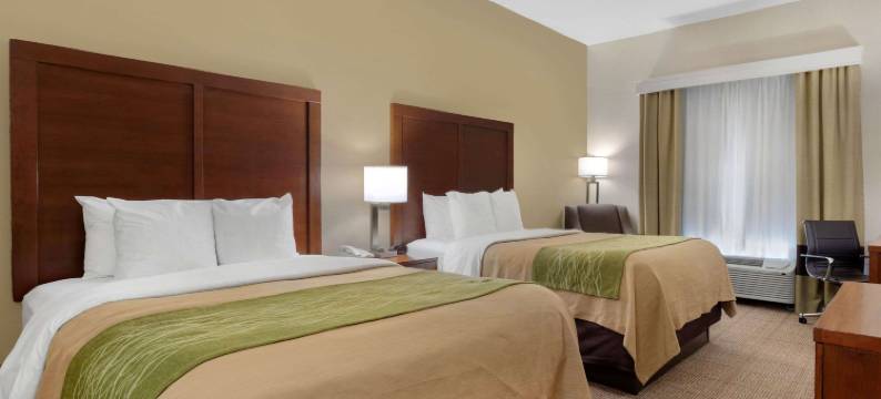亚瑟港 - 内奇斯港舒适套房酒店(Comfort Inn & Suites Port Arthur-Port Neches)图片