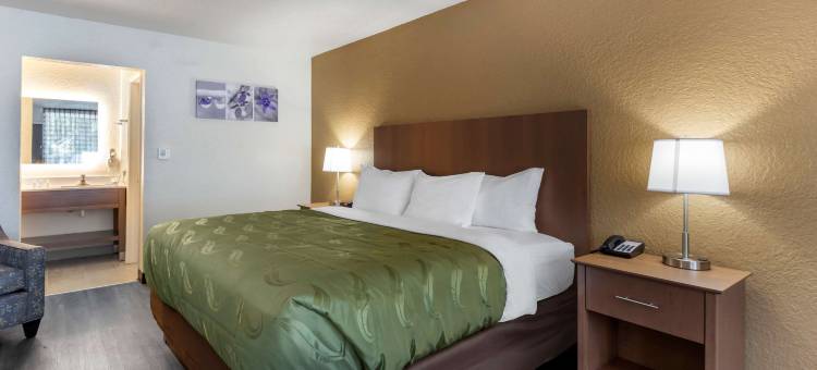 圣彼得斯堡骑士酒店(Quality Inn Saint Petersburg North-Tampa Bay)图片