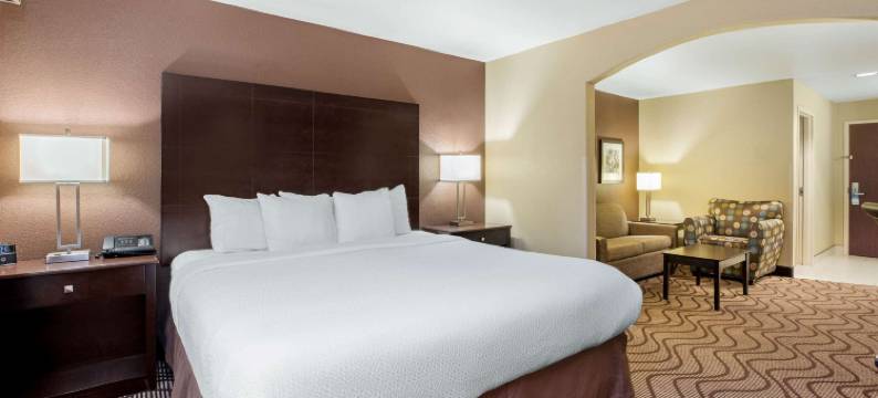 默里迪恩西博伊西拉昆塔温德姆套房酒店(La Quinta Inn & Suites by Wyndham Meridian / Boise West)图片