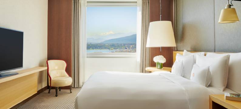 日内瓦洲际酒店(InterContinental Hotels GENEVE by IHG)图片