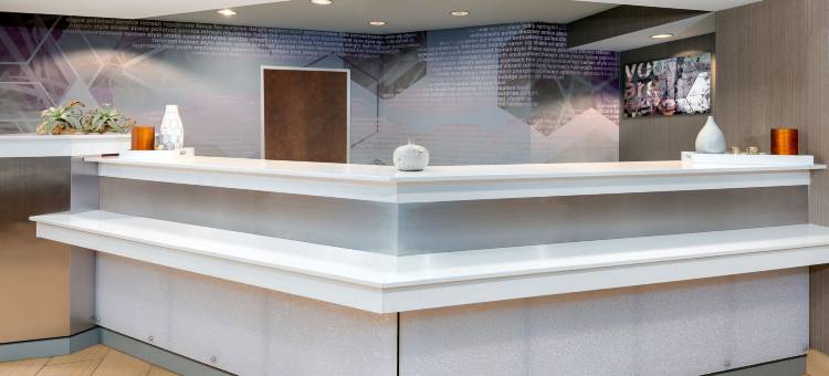 阿什维尔万豪SpringHill酒店(SpringHill Suites Asheville)图片