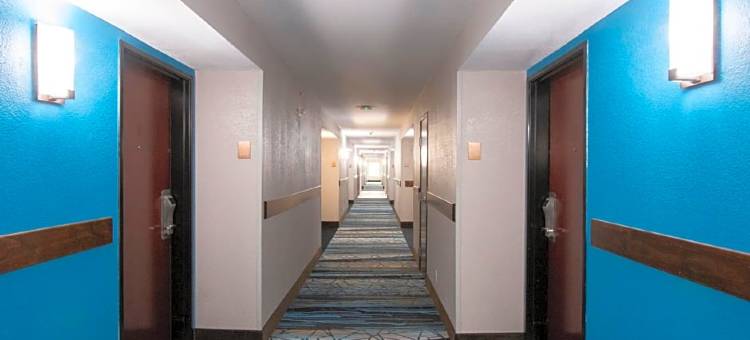 舒适套房酒店-近医疗中心(Comfort Inn & Suites Near Medical Center)图片