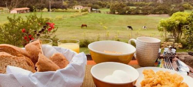 度假屋(Casa en El Arbol)图片