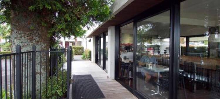 Mount Albert汽车旅馆(Mt Albert Motor Lodge)图片