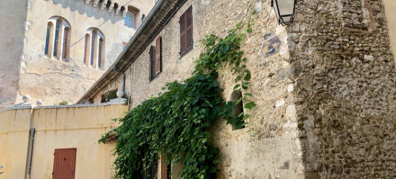 卡纳德城堡酒店(Chateau le Cagnard)图片