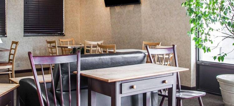 舒适酒店及套房-怀奥米辛雷丁(Comfort Inn & Suites Wyomissing-Reading)图片