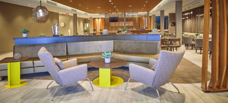 梅德福SpringHill Suites 酒店(SpringHill Suites Medford Airport)图片