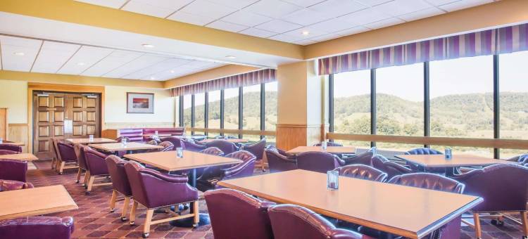 萨顿弗雷伍德戴斯套房酒店(Days Inn & Suites by Wyndham Sutton Flatwoods)图片