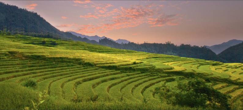 连山欧家梯田雾上花开客栈图片